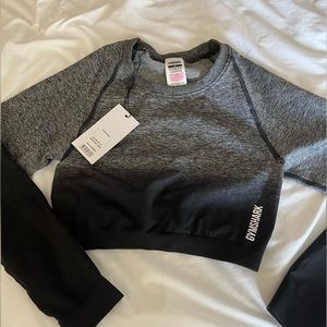 Adapt Ombre Seamless Long Sleeve Crop Top